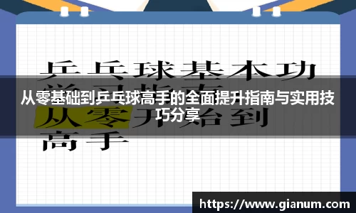 从零基础到乒乓球高手的全面提升指南与实用技巧分享
